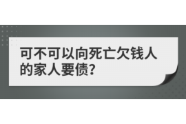 黄梅黄梅的要账公司在催收过程中的策略和技巧有哪些？